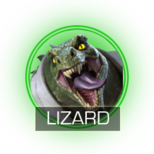 Lizard