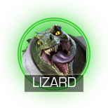 Lizard